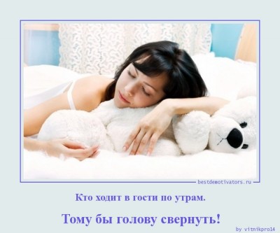 1349942918_Kto-hodit-v-gosti-po_bestdemotivators_ru.jpg