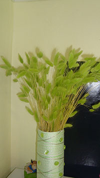 DSC07094.JPG