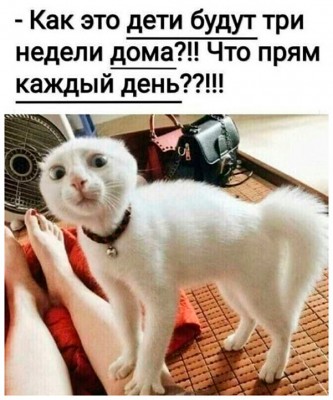 IMG-83d4cb3d78d164b6095878ef76817e7f-V.jpg (121.37 КБ) Просмотров: 8231 IMG-83d4cb3d78d164b6095878ef76817e7f-V.jpg