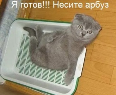 IMG_20200404_020315.jpg
