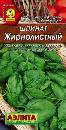 Топ-13 сортов салата для выращивания в огороде и теплицах